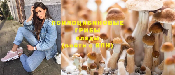твердый Кулебаки