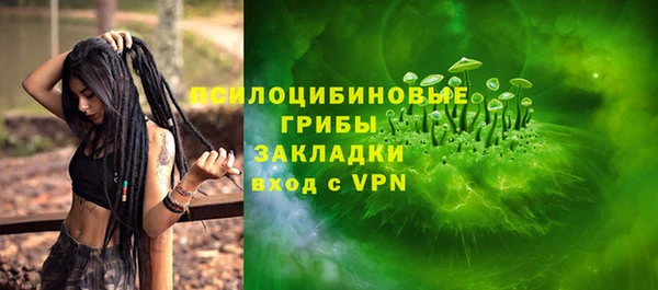 твердый Кулебаки