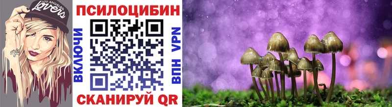 Псилоцибиновые грибы мицелий  mega ONION  Петушки 